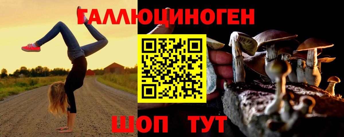 Псилоцибиновые грибы мухоморы Курчатов